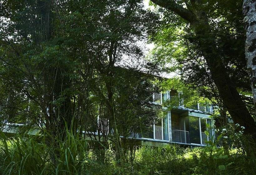 Fotos del hotel Hakone Retreat Fore:  34