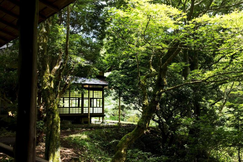 Fotos del hotel Hakone Retreat Fore:  48