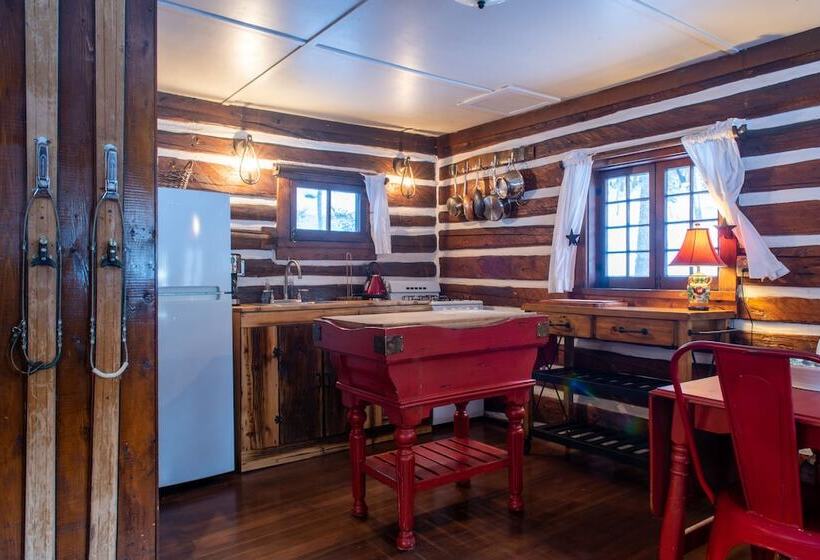 هتل Pioneer Guest Cabins