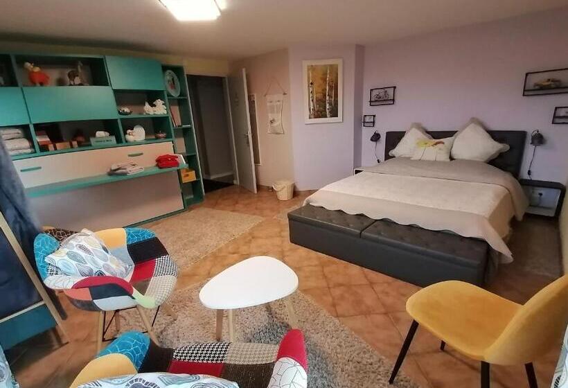 Пансион Chambre Paisible Avec Petit Déjeuner Maison, Proche Centre Ville Et Randonnées Vosgiennes Fr 1 589