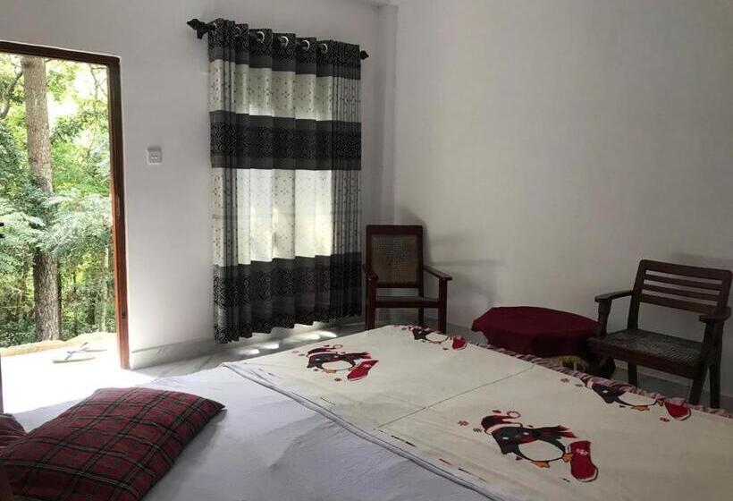 פנסיון Pine Wood Guest Inn