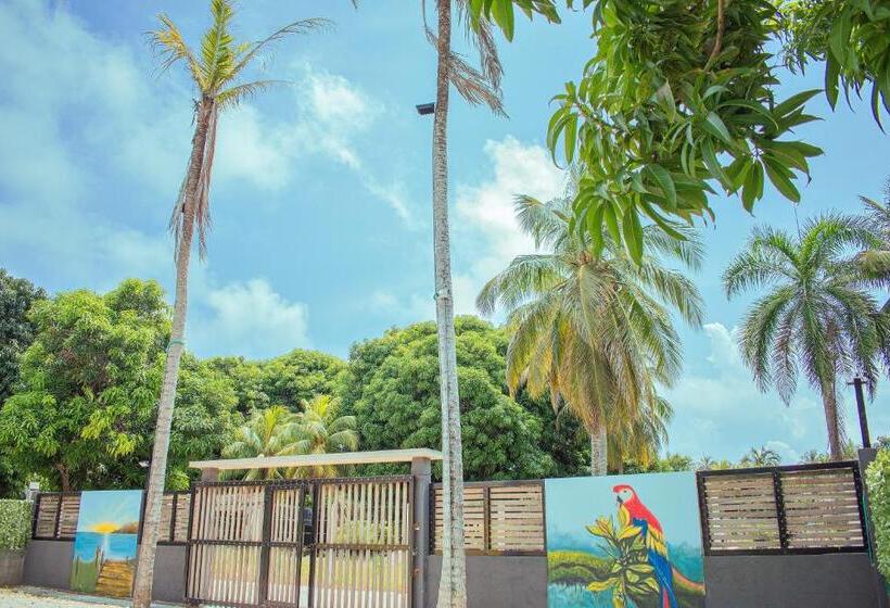 استراحتگاه Cabañas Mambo Beach