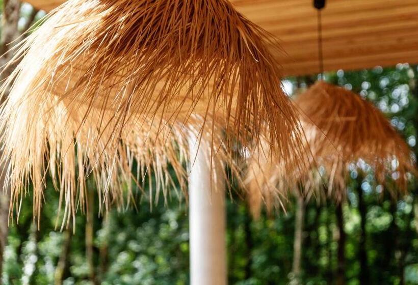 Bed and Breakfast Dans Les Arbres