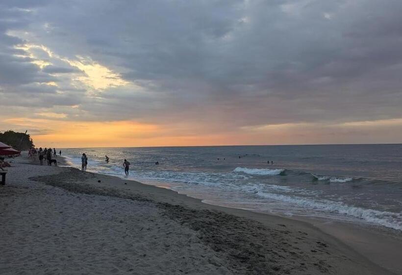 هتل Beach Life Palomino & Beach Club