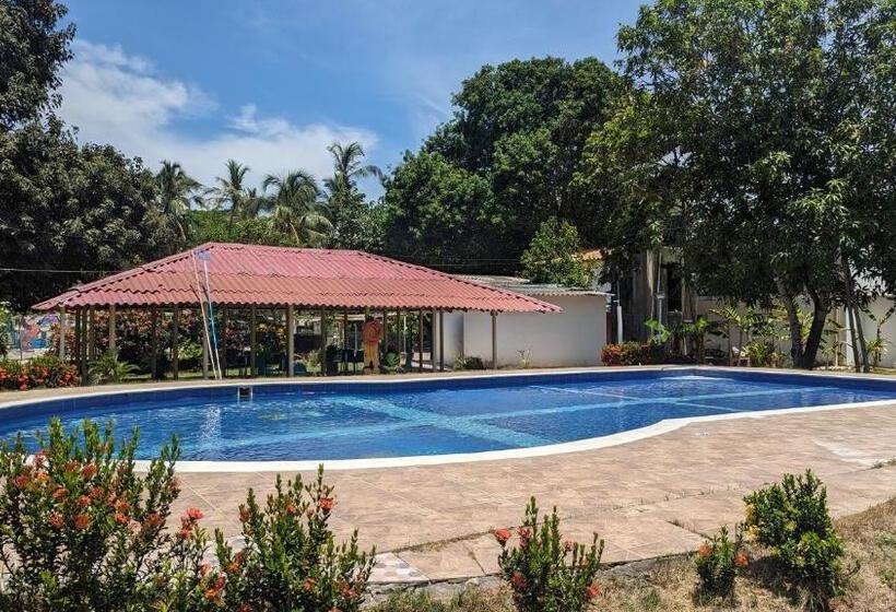 هتل Beach Life Palomino & Beach Club