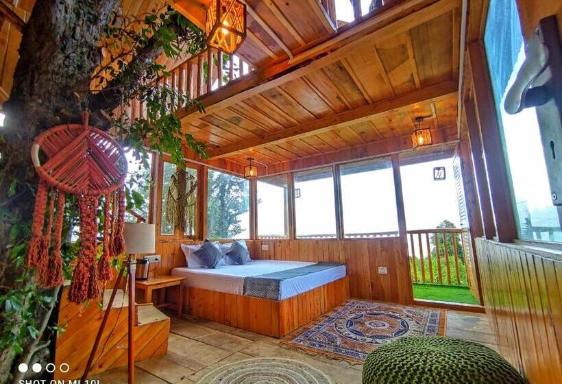 بنسيون The Tree Top Treehouse Jibhi