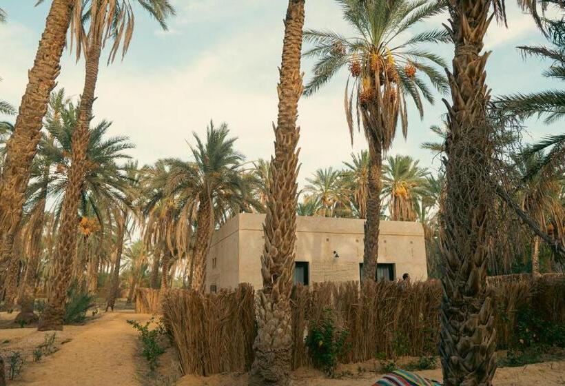 پانسیون Villa Taouzert