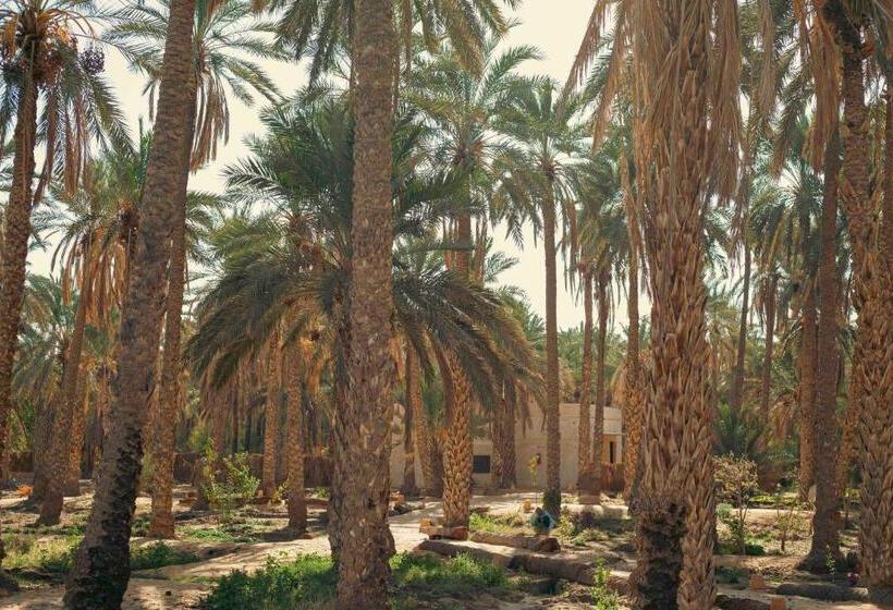 پانسیون Villa Taouzert