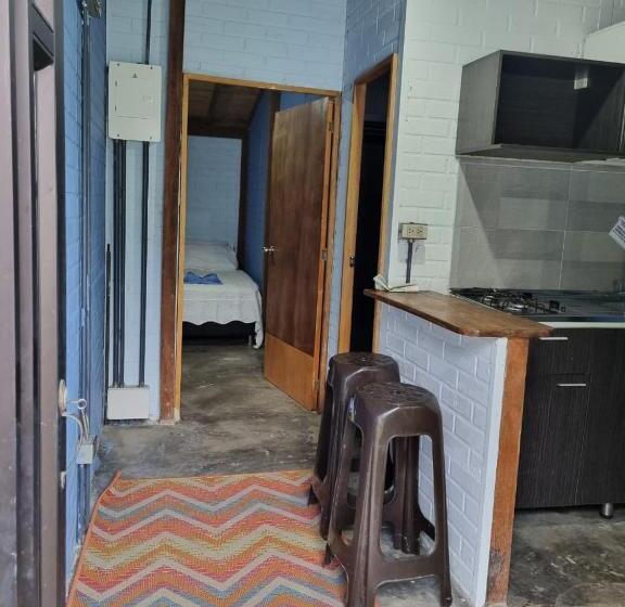 هاستل Posada Miss Anibel