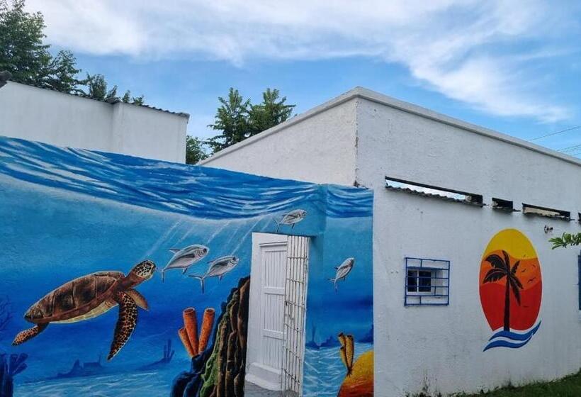 هاستل Posada Miss Anibel