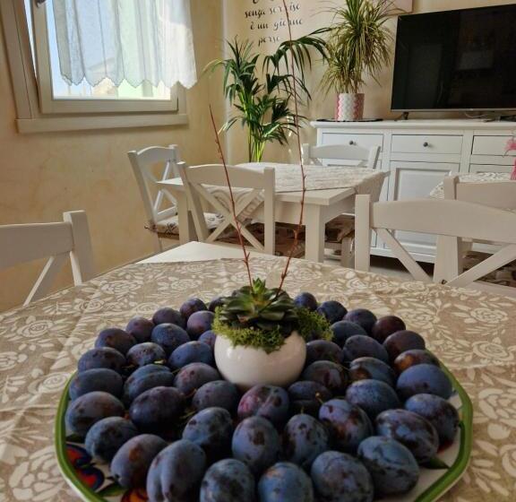 B&b Fiore