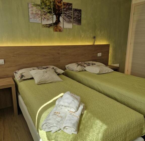 B&b Fiore