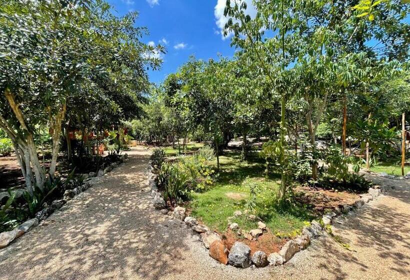 مبيت وإفطار Cabañas Hunab Ku 21