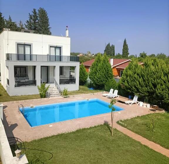 تختخواب و صبحانه Holistic Balance