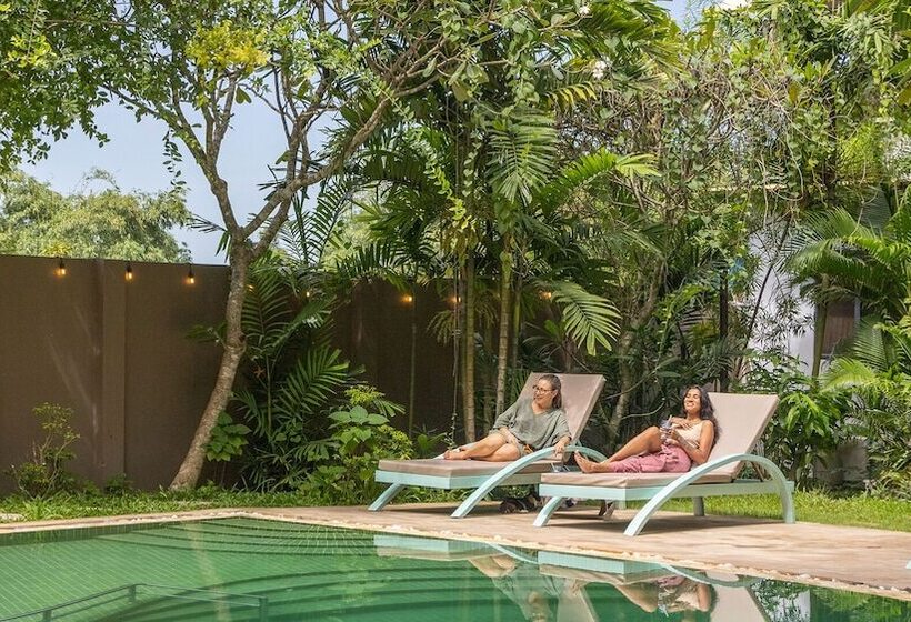 酒店 Through The Looking Glass Wellness Retreat Resort