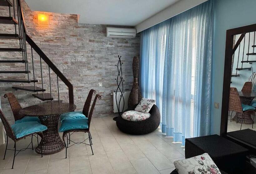 Oazis Vip Club