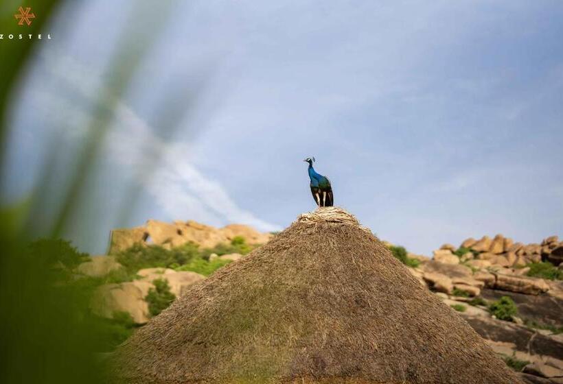 旅馆 Zostel Hampi