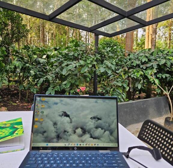 Benomadic Eco Hostel, Madikeri, Coorg