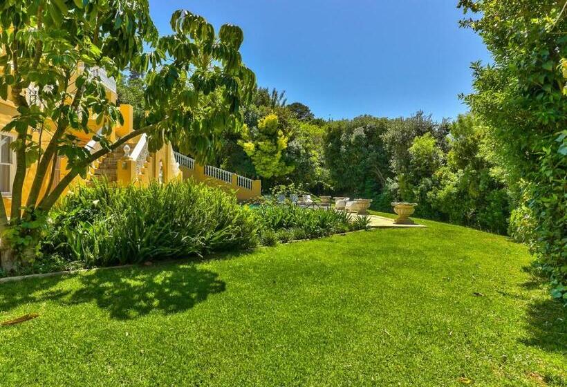 פנסיון Devonport House   Constantia