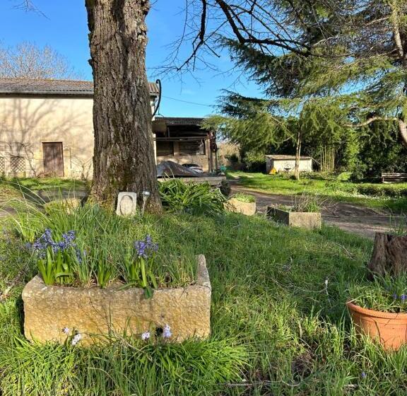 ペンション Domaine De Labèque