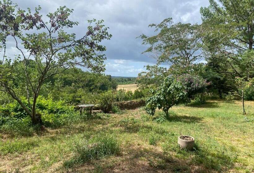ペンション Domaine De Labèque