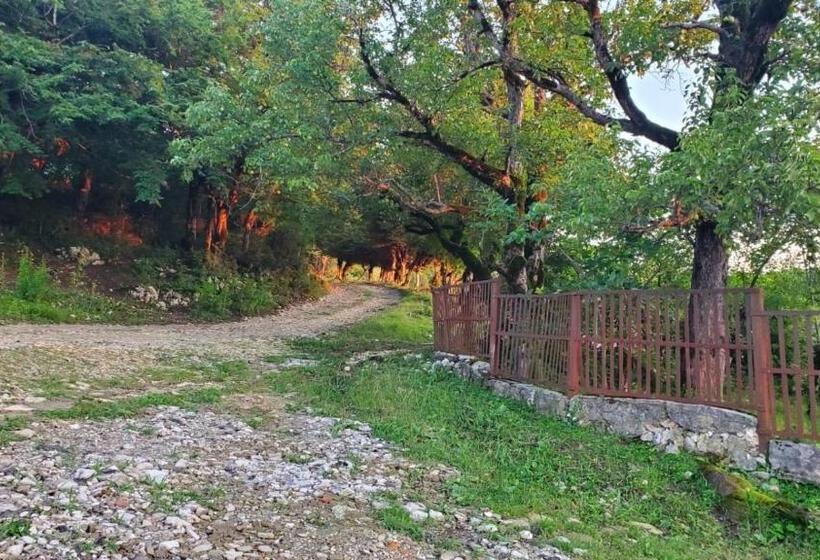 پانسیون Guesthouse David