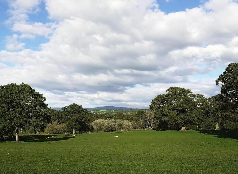 مبيت وإفطار The Plough Inn