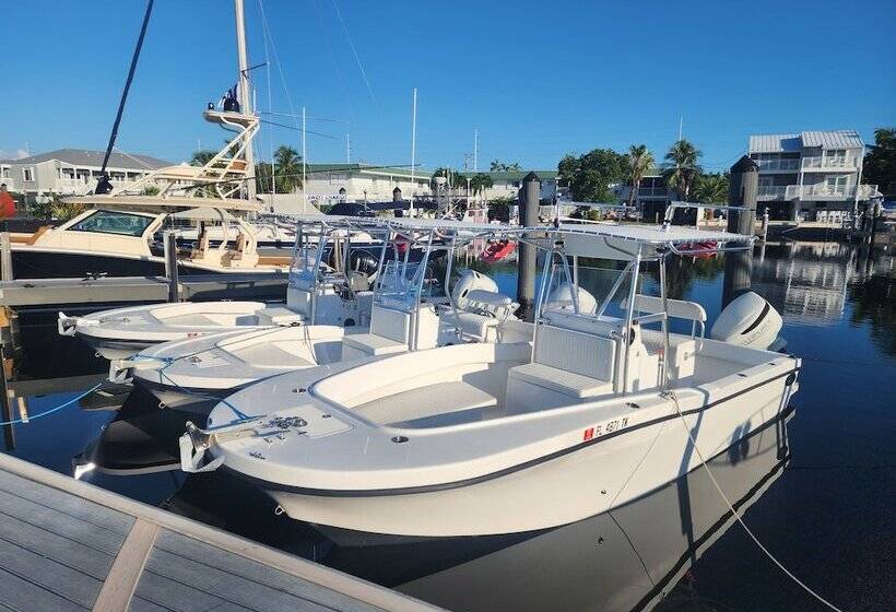 هتل Yacht Haven