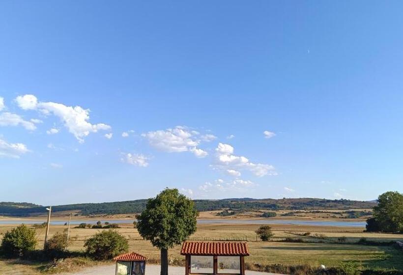 פנסיון Casa Elisa Monegro