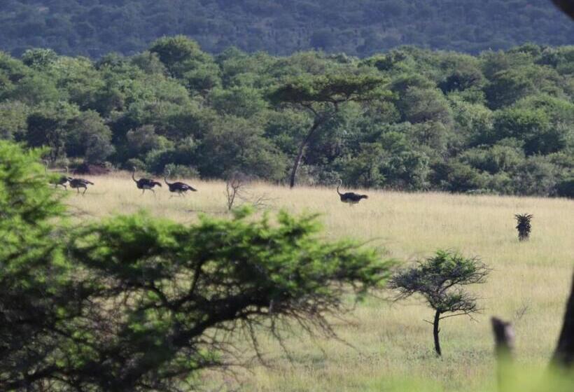 Курорт Kingdom Game Ranch