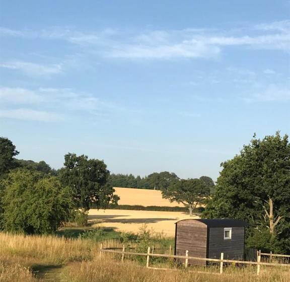 ホテル Wellbank Shepherds Hut