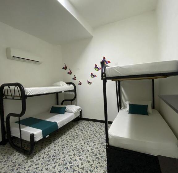 پانسیون Believer Hostel