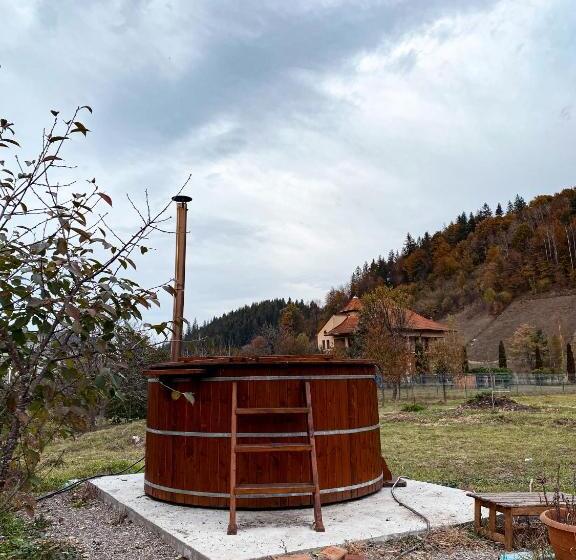 پانسیون Casa Irina