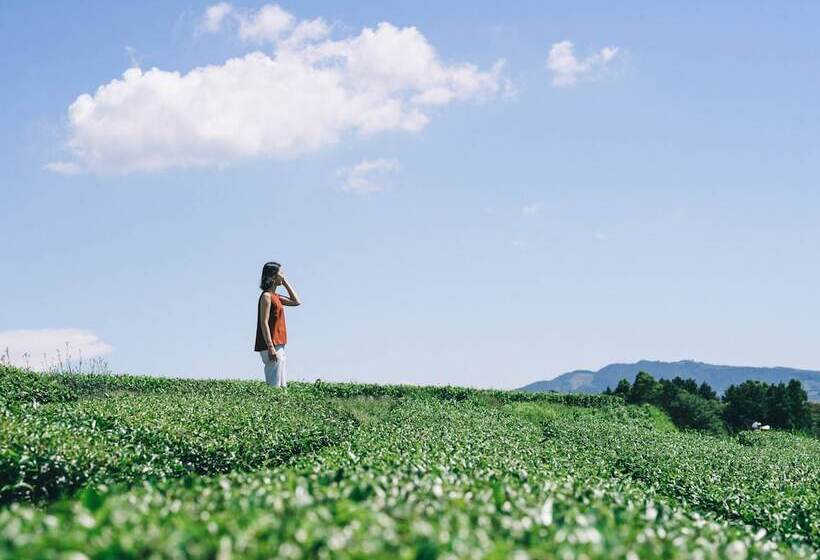 ریوکان Rita Yame Fukushima