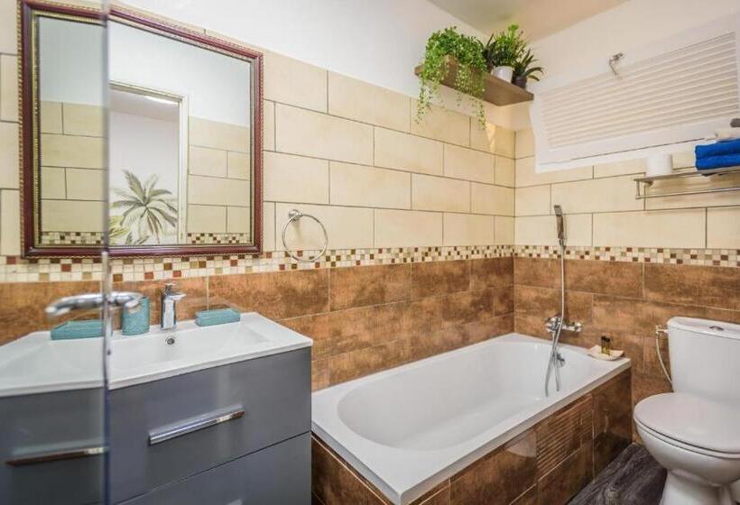 1a   Chambres Et Appartements Au Calme   Centre St Denis   Barachois