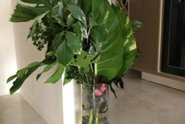 هتل Madinat Al Bahr Business & Spa