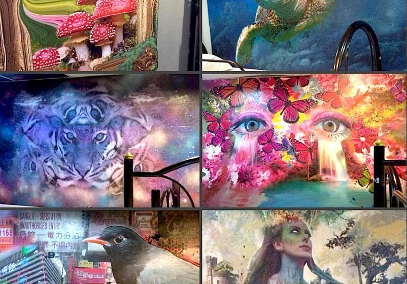 בית מלון כפרי Wet! A Pool Party Hostel By Wild & Wandering