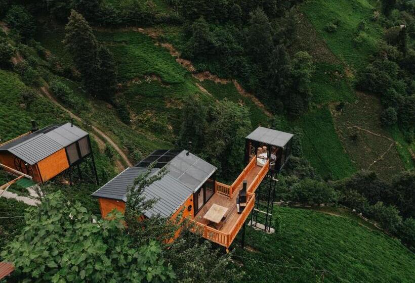 渡假胜地  Northland Bungalows