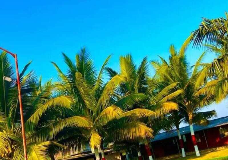 فندق Beach Village Resort