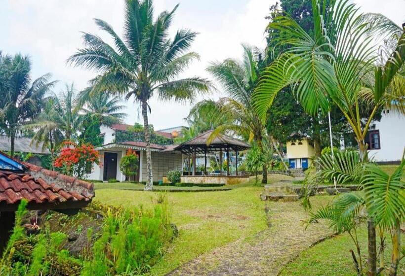 هتل Lembah Nyiur By Oyo