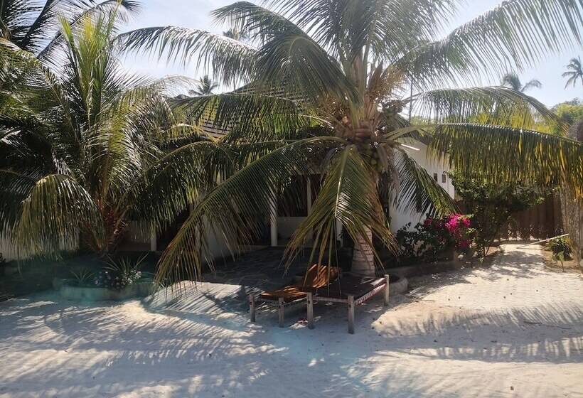 هتل Mambo Ocean Resort