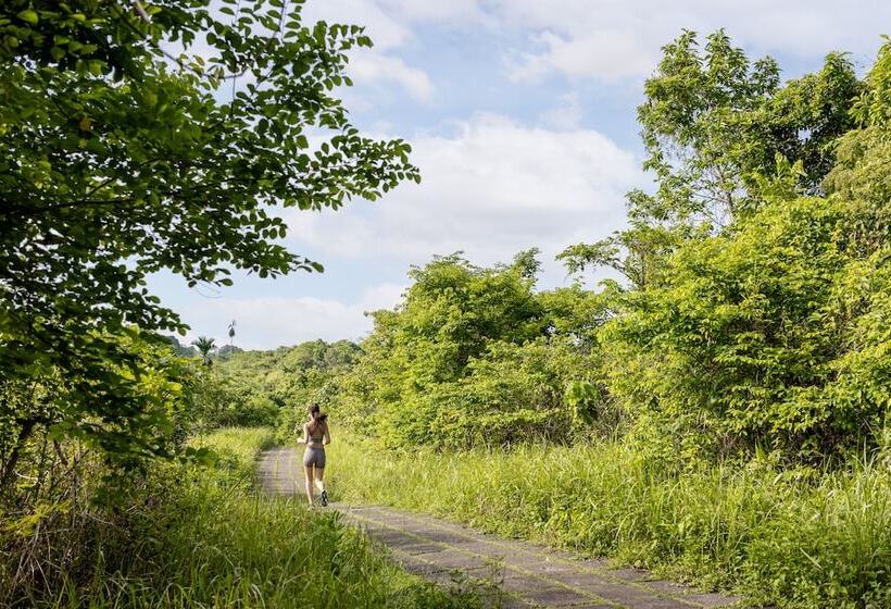 호텔 The Hava Ubud A Pramana Experience