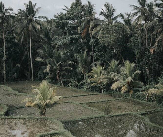 渡假胜地  Villa Ravaka Ubud