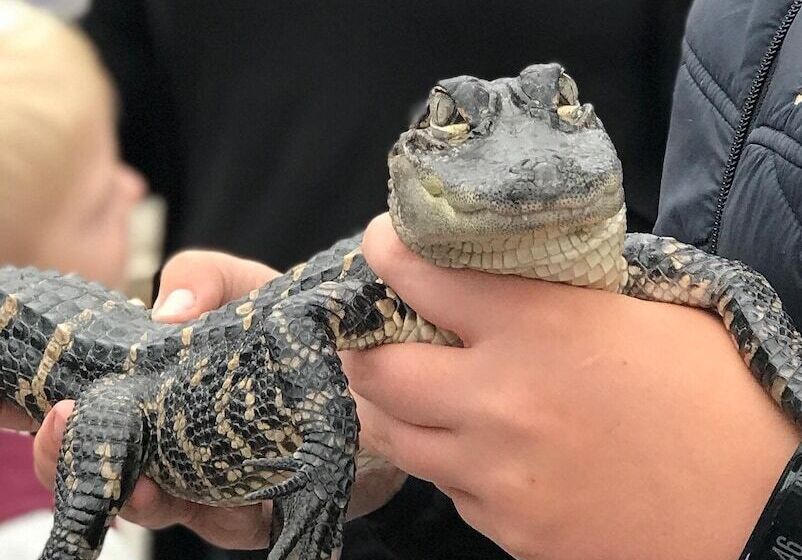 Anettes Bed & Breakfast Falster