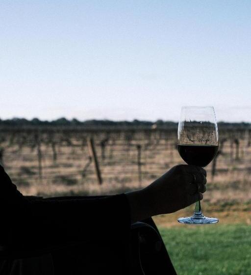 Buller Wines