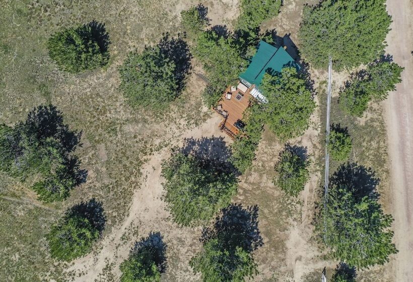 Отель Tree Eagles Nest