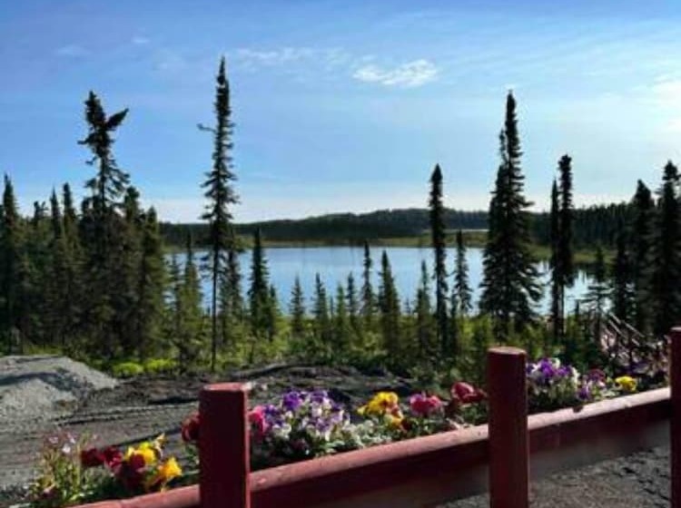 Moose Landing