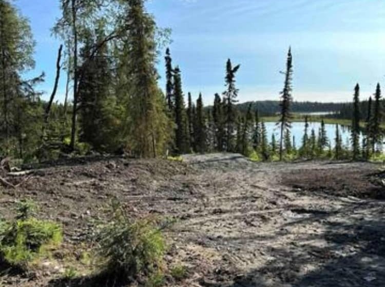 Moose Landing