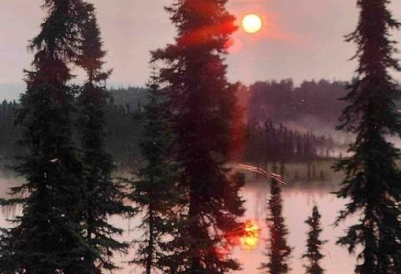 Moose Landing