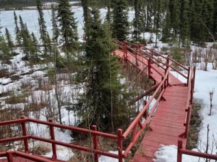 Moose Landing